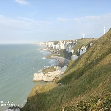 L' Albatros Vue Sur Le Port Фекам