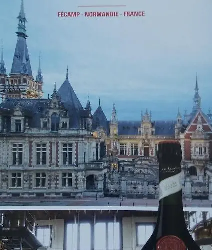 L' Albatros Vue Sur Le Port Fécamp